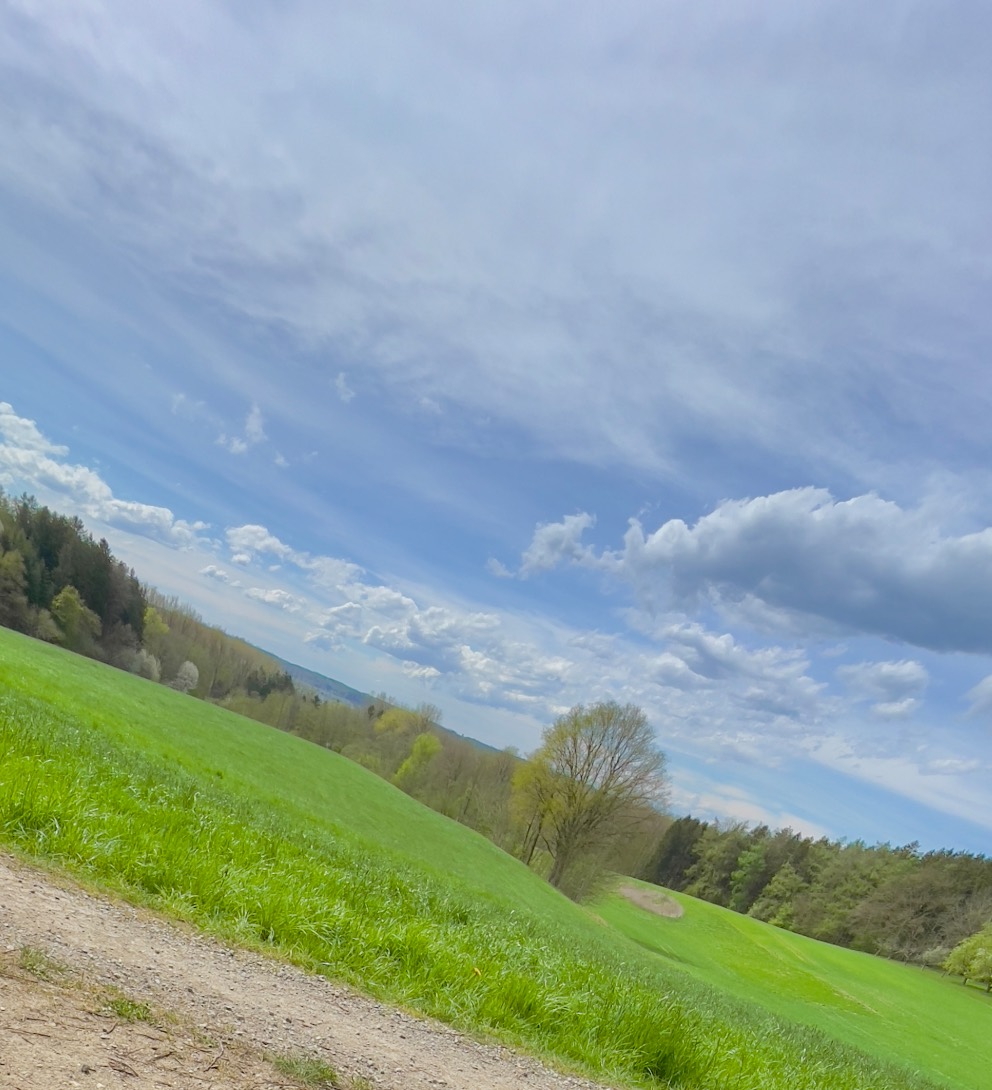 Frisches Grün am Hang, der Baum treibt aus