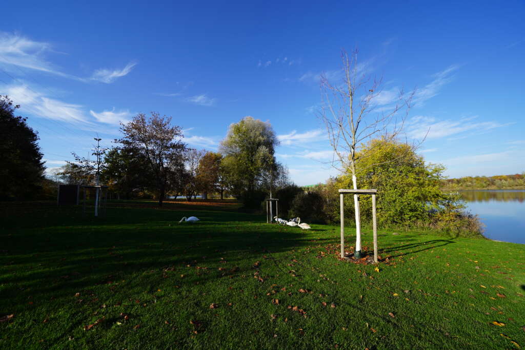 Baggersee - Makler Vöhringen